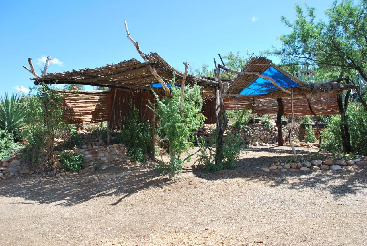 Amber Lagoon Backpackers Lodge Vleirivier Kültér fotó