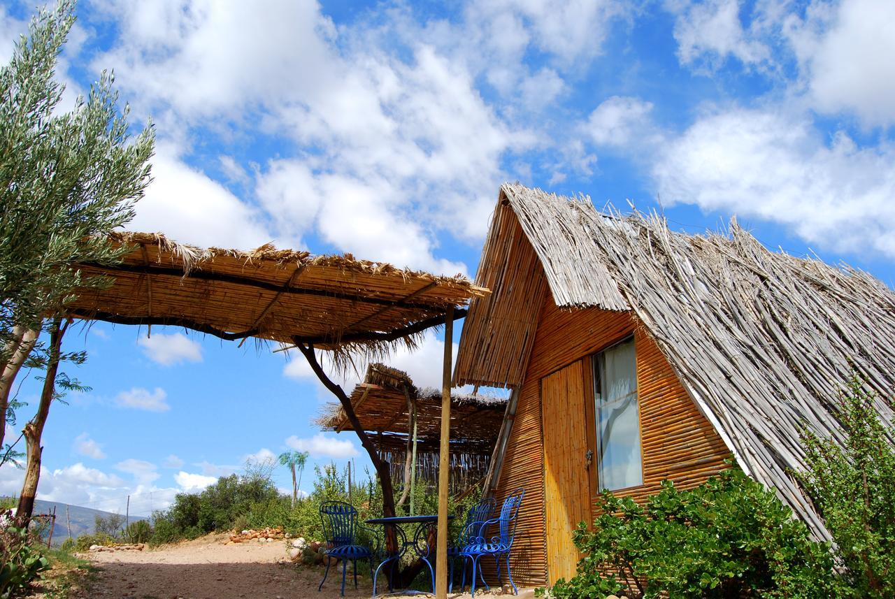 Amber Lagoon Backpackers Lodge Vleirivier Kültér fotó